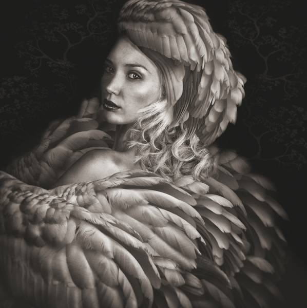 Photograph Lee Howell Beaute Aviare 9 on One Eyeland